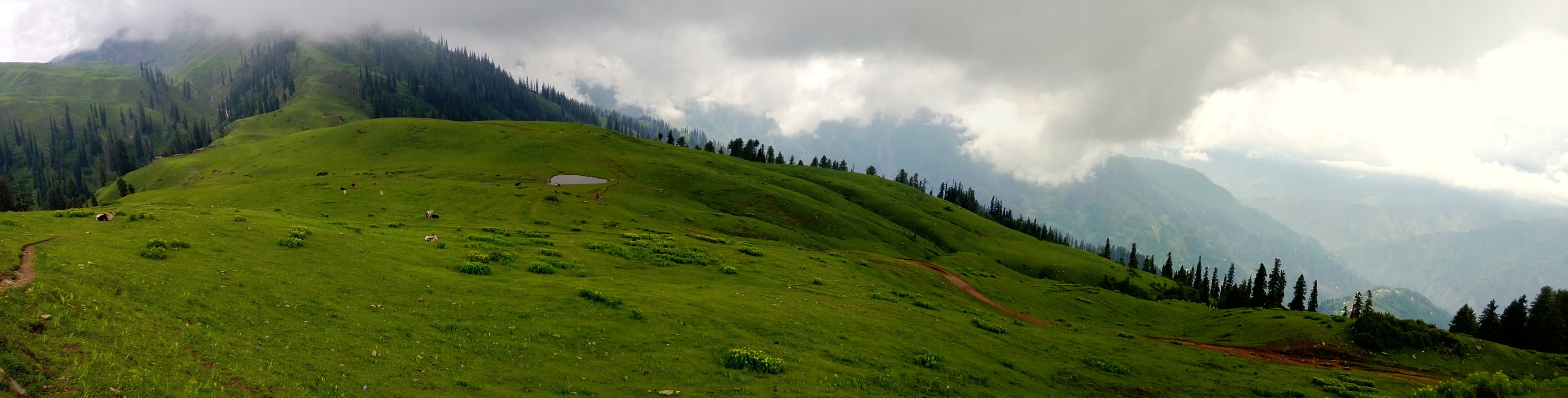 Siri Paye Meadows WP_20130627_13_15_36_Panorama