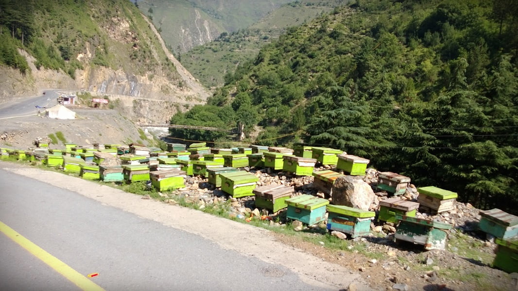 Pakistan summer tour 2013 photo 4 of 43, shot on Nokia Lumia 920