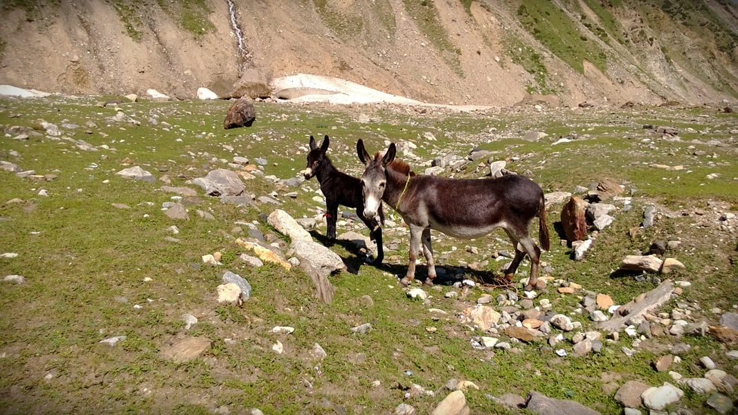 Pakistan summer tour 2013 photo 15 of 43, shot on Nokia Lumia 920