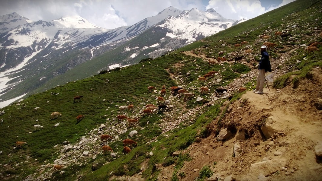 Pakistan summer tour 2013 photo 18 of 43, shot on Nokia Lumia 920