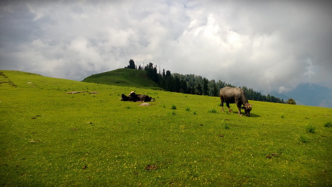 Pakistan summer tour 2013 photo 37 of 43, shot on Nokia Lumia 920
