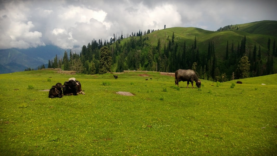 Pakistan summer tour 2013 photo 38 of 43, shot on Nokia Lumia 920