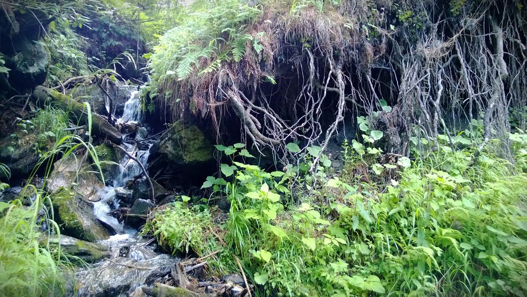 Pakistan summer tour 2013 photo 40 of 43, shot on Nokia Lumia 920