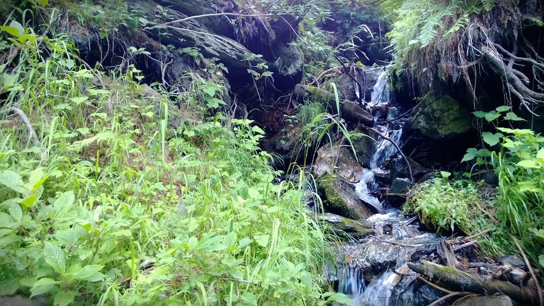 Pakistan summer tour 2013 photo 41 of 43, shot on Nokia Lumia 920